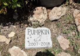 Pumpkin Memorial Stone